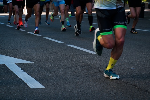 About Morzeltradoria